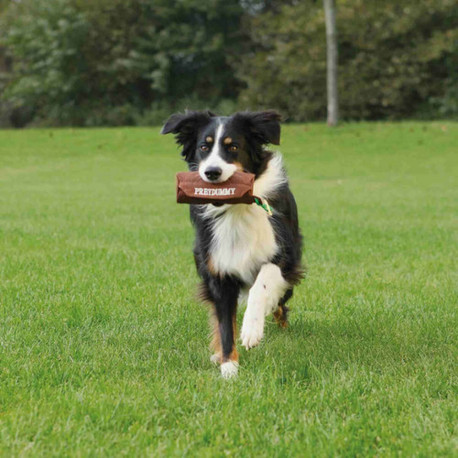 Koera mänguasi Trixie Pruun purjeriie Ø 8 × 20 CM