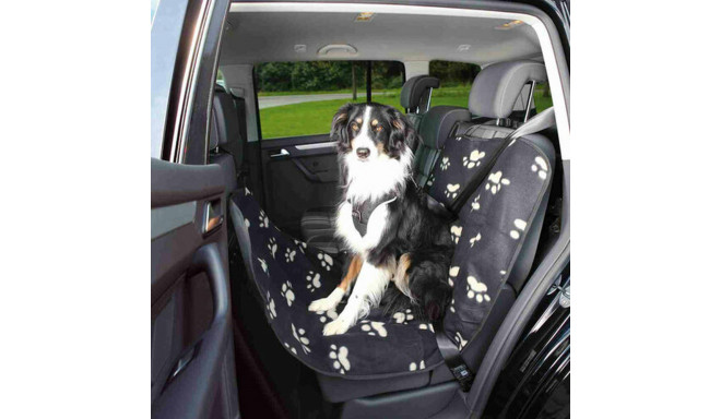 Lemmiklooma induviduaalne autoistme kate Trixie