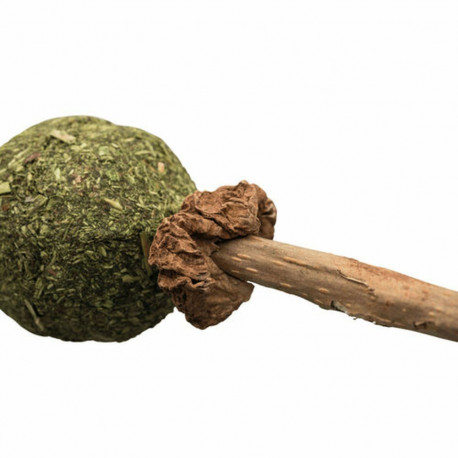 Snack for Cats Trixie Catnip/Matatabi