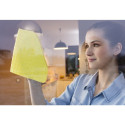 puhastuslapp Vileda window's Actifibre 1 tk