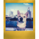 Polaroid Go Color Gold Frame 2-pack
