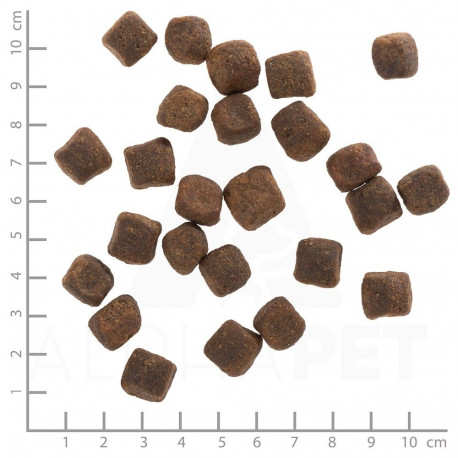 Dog Food - WOLFSBLUT Dark Forest Venison Dry 12.5kg for Sensitive Stomachs