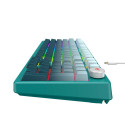 Gaming Keyboard - Havit KB899L Mechanical RGB 97 Keys Detachable USB