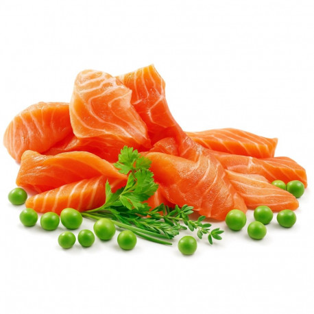 Cat Food - SHELMA Sterilised Salmon Dry 1.4kg Gluten-Free