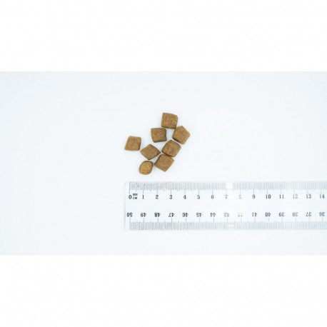 Dog Food - BULT Salmon with Trout Dry Dog Food 12kg Gluten-Free