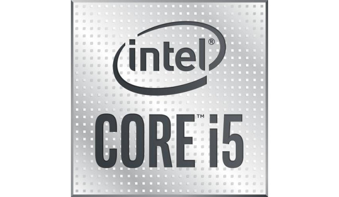 Intel Core i5-10400F processor 2.9 GHz 12 MB Smart Cache Tray