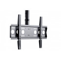 CMS21 LFD CEILING MOUNT