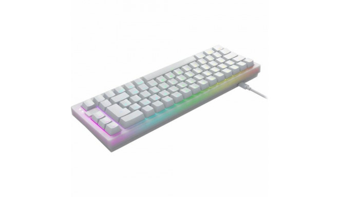 Keyboard and Mouse Cherry CXK5V2RGBCPTTPWHTRFR