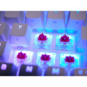 Keyboard and Mouse Cherry CXK5V2RGBCPTTPWHTRFR