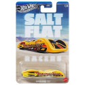 Hot Wheels® Salt Flat teemaautod