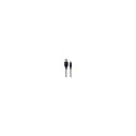 Gembird GEMBIRD CC-USB2B-AMCM-2M-BW Gembird Prem