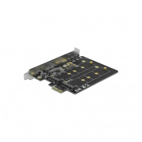 DeLOCK PCI Express x1 card to 2 x internal M.2 Key B, adapter