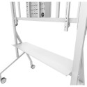 FL50-575WH1 MOVE Go 65-110'' 100x100-1000x600 125kg h:129-139cm MOVE Go XL