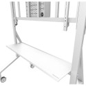 FL50-575WH1 MOVE Go 65-110'' 100x100-1000x600 125kg h:129-139cm MOVE Go XL