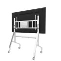 FL50-575WH1 MOVE Go 65-110'' 100x100-1000x600 125kg h:129-139cm MOVE Go XL