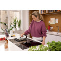 Kärcher WV 2 Plus window cleaner