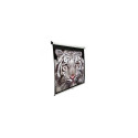 Elite Screens | M139NWX | Diagonal 353 " | 16:10 | Viewable screen width (W) 2.98 cm | White