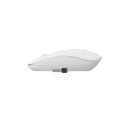 Gembird wireless mouse MUSW-4B-01-W, white