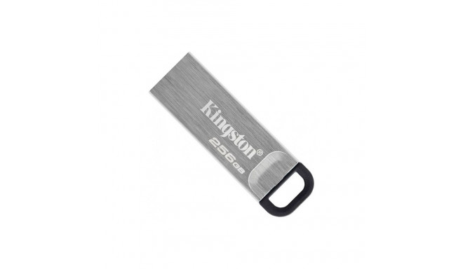 Kingston DataTraveler Kyson USB flash drive 256 GB USB Type-A 3.2 Gen 1 (3.1 Gen 1) Silver  USB stic