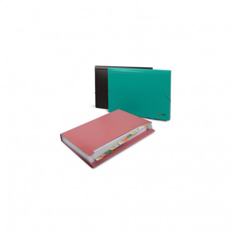 File folder with rubbers Forpus, A4, plastic, red, 12 compartments