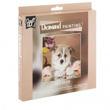 Teemanditikand Corgi 20 x 20 cm