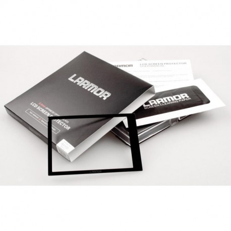 GGS Larmor LCD kaitse Sony RX1/RX10/RX100