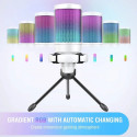 Fifine AmpliGame A6V RGB microphone for gaming | podcasts | streams | tripod | white