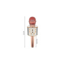 Goodbuy karaokemikrofon sisseehitatud bluetooth kõlariga | 3W | aux | häälmodulaator | USB | Micro S