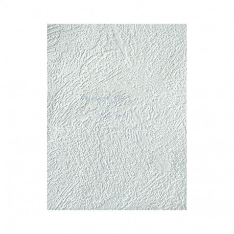 PAINTABLE WALLPAPER 2522-01 B98