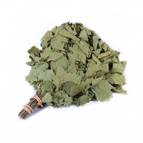 OAK-TREE BUNDLE FLAMMIFERA