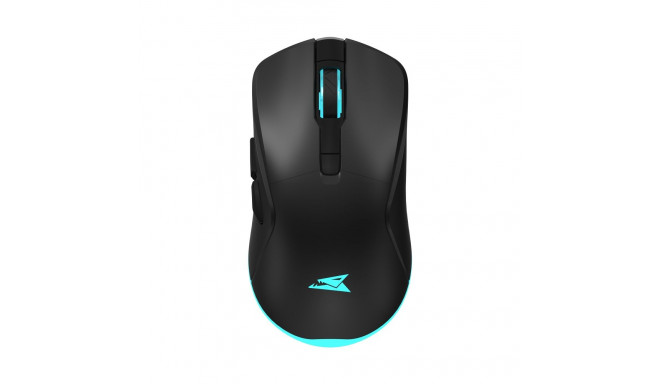 Baracuda TURTLE BGM-121, Black