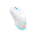 Baracuda BGM-122 Turtle White