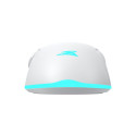 Baracuda BGM-122 Turtle White
