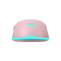 Baracuda BGM-124 Turtle Pink