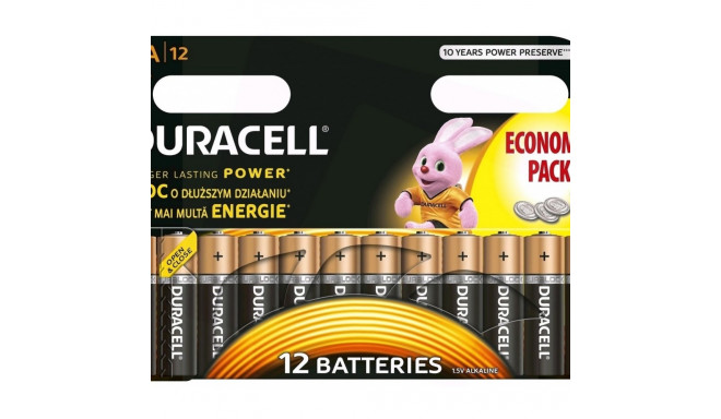 Batteries Basic AA/ LR6 BL12