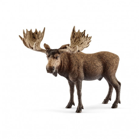SCHLEICH WILD LIFE Moose Bull