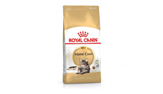 Royal Canin FBN Maine Coon Adult -  dry food for adult cats - 4kg