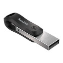 SanDisk SDIX60N-256G-GN6NE USB mälupulk 256 GB 3.2 Gen 1 (3.1 Gen 1) hall, hõbedane