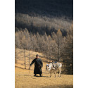 Tamron 70-180mm f/2.8 Di III VC VXD G2 objektiiv Nikonile