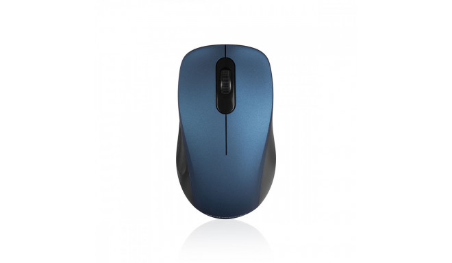 WM10S Optical wireless mouse blue
