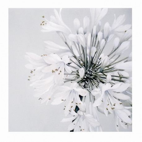 Salvrätik 33x33/20 White beauty