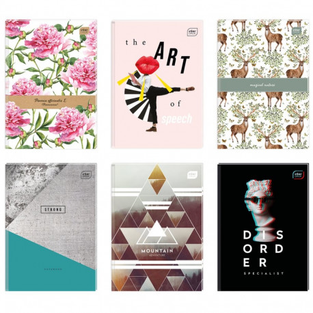 Kaustik A4 96 lehte joon kõvaköide, assortii Interdruk