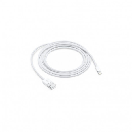- iPhone 5 Data Cable White OEM (Bulk)