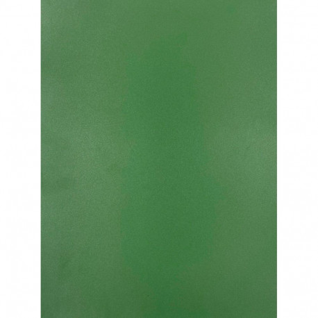 Evelatus Universal Universal Color Shinning A3 Film for Screen Cutter Army Green