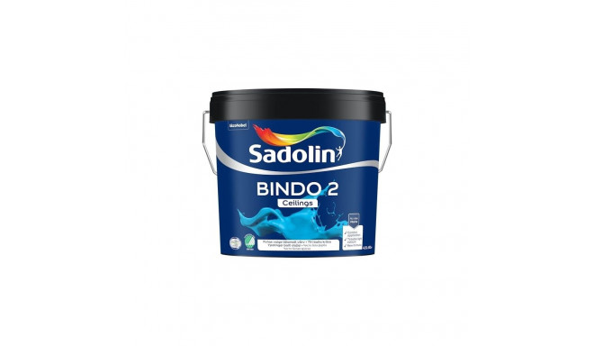 PAINT BINDO 2 BW 4.5L