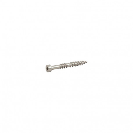 TERRACE SCREWS ESS T20 MAX 4.8X55 A2 250