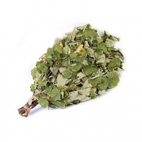 Linden saunaviht flammifera