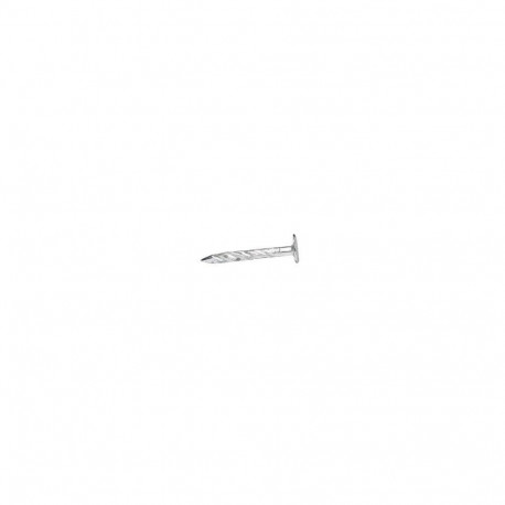 SCREW NAILS EXTEND HEAD 3.0X40 ZN 300 G