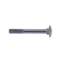 SCREW DIN603 M8X30 (200)