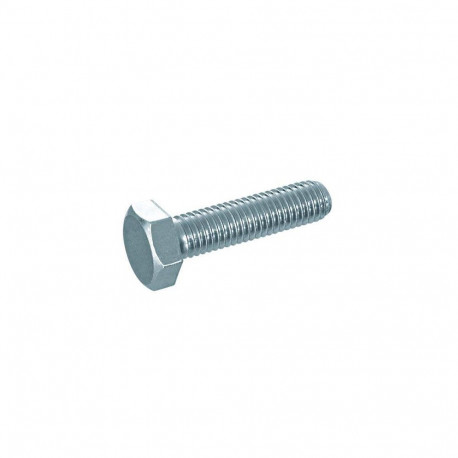 SCREW DIN 933 8.8 M10X60 (100)